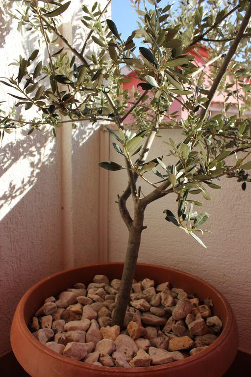 Apartman Luburic Pinezići Dış mekan fotoğraf